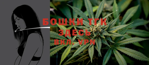 прущие грибы Лихославль