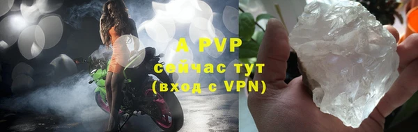 твердый Ладушкин
