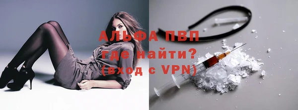 прущие грибы Лихославль