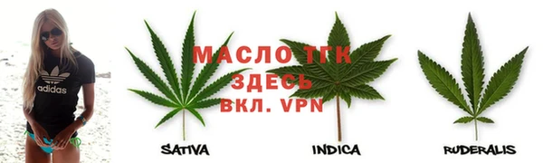 твердый Ладушкин