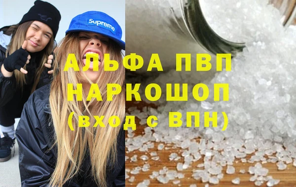 прущие грибы Лихославль