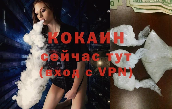 прущие грибы Лихославль