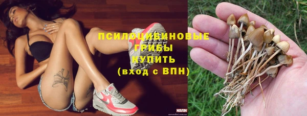 прущий лед Лиски