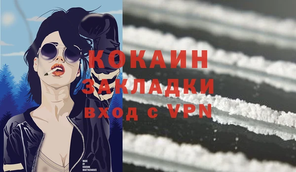 ECSTASY Кадников