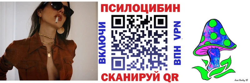 Псилоцибиновые грибы Cubensis  Навашино 